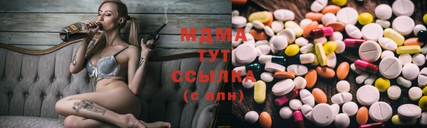 прущие грибы Беломорск