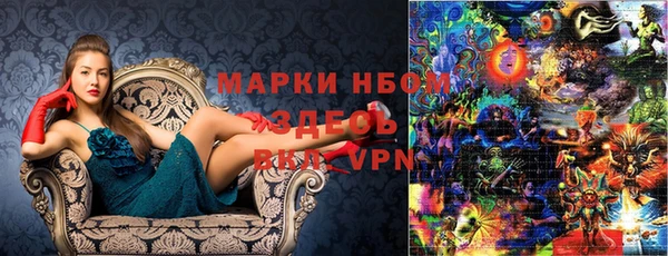 прущие грибы Беломорск