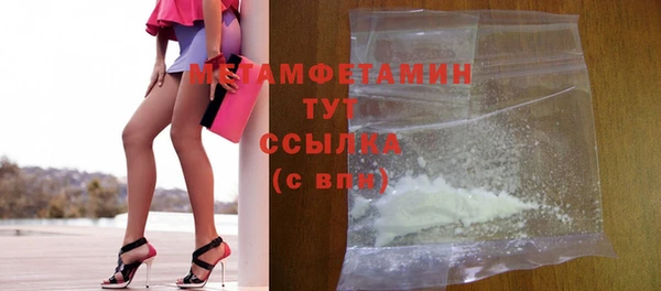 прущие грибы Беломорск