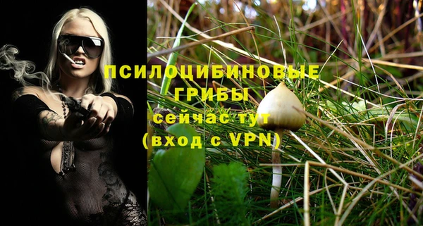 гидропоника Белокуриха