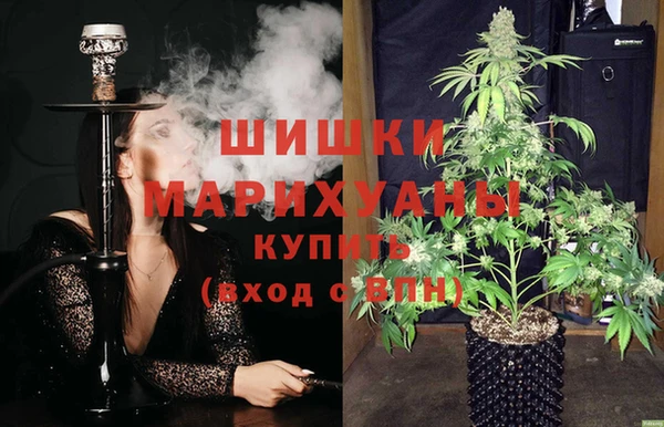 гидропоника Белокуриха