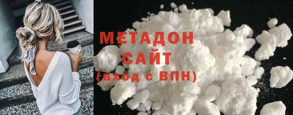 прущие грибы Беломорск
