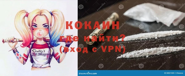 прущие грибы Беломорск
