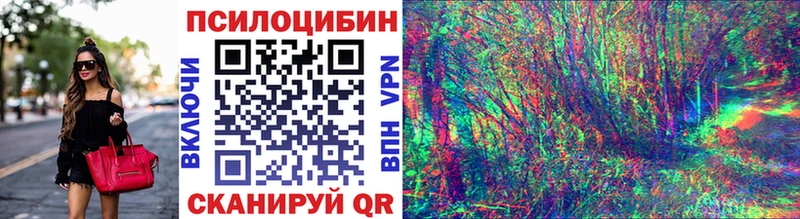 наркошоп  Высоцк  darknet Telegram  Псилоцибиновые грибы ЛСД 